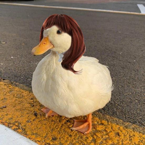 3 Pcs Porch Goose Braid Wig Outdoor Goose Statues Outfit Accessories