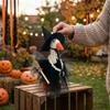 Wizard Hat Tulle Skirt Halloween Witch Goose Outfit Halloween Goose Decor Kit  Yard Decoration