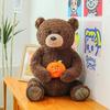 Bear Teddy Cute Doll Stuffed Teddy With Pp Cotton Material Kids Doll Companion