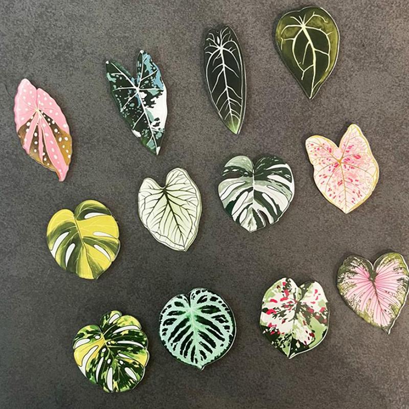 Cute Begonia Monstera Refrigerator Magnets, Kawaii Tropical Plants Refrigerator Magnets, Whiteboard Stickers
