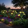 Waterproof Solar Garden Lights Colorful Gradient Solar Garden Decor  Outdoor Garden