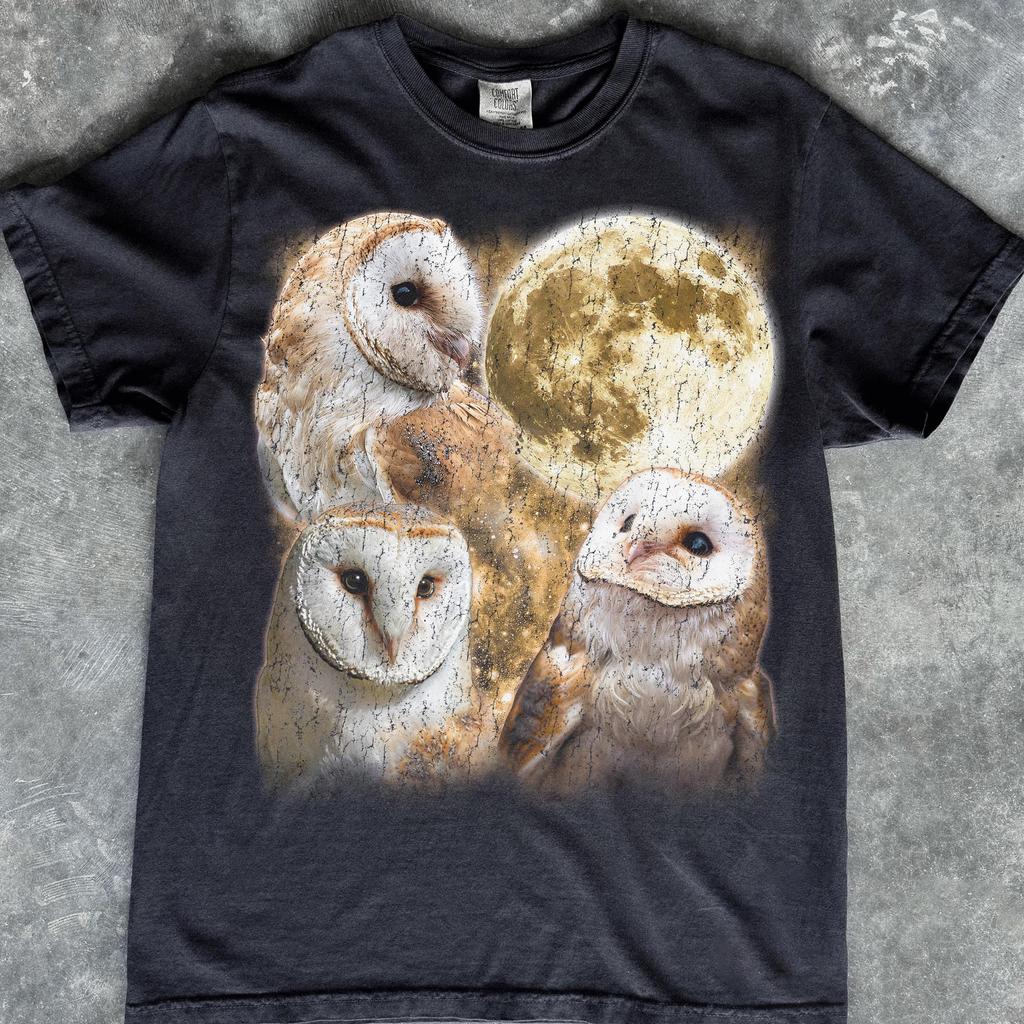 Barn Owl Moon Shirt, Starry Night Wildlife Print Tee
