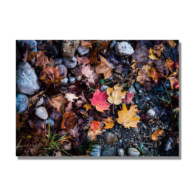 

Ретро-осенний пейзаж, художественный принт, плакат из осенней коллекции, винтажный холст с кленовым листом, картина маслом, декор стены фермерского дома 21x30cm No Framed