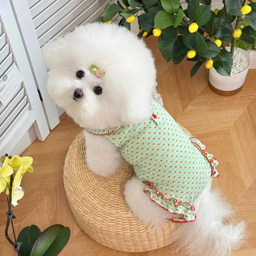 Spring New Style Pet Clothes - Anti-chill and Belly-protective Pet Clothes for Small Dogs with Lap Collars and Four-legged Dogs.