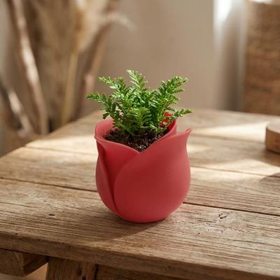 Plastic Succulent Plant Basin Unique Green Onion Pots Modern 3D Printed Plant Pot  Kitchen Use