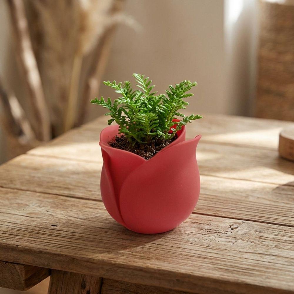 Unique Mini Rose Shape Pots Plastic Green Onion Pots Modern 3D Printed Plant Pot  Indoor Plants