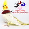 QBLEEV 4Pack Pet Parrot Anti-bite E-Collars, Anti-Grab Feather Plucking Wound Healing Safety Elizabethan Collar, Protective Recovery Cones for