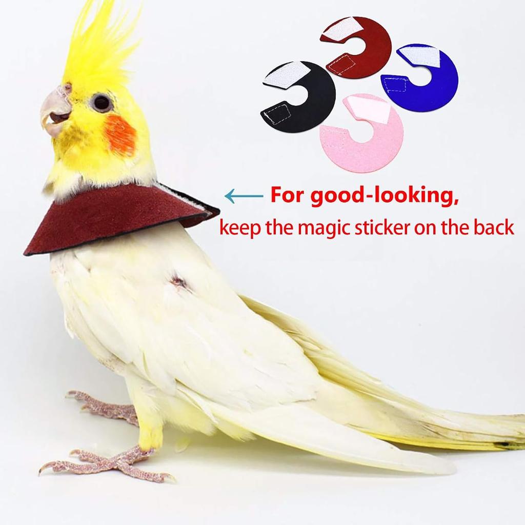 QBLEEV 4Pack Pet Parrot Anti-bite E-Collars, Anti-Grab Feather Plucking Wound Healing Safety Elizabethan Collar, Protective Recovery Cones for