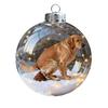 3D Animal Christmas Ball Ornament Funny Dog/Cat/Turtle Hanging Decoraton Clear Plastic Xmas Balls Ornament