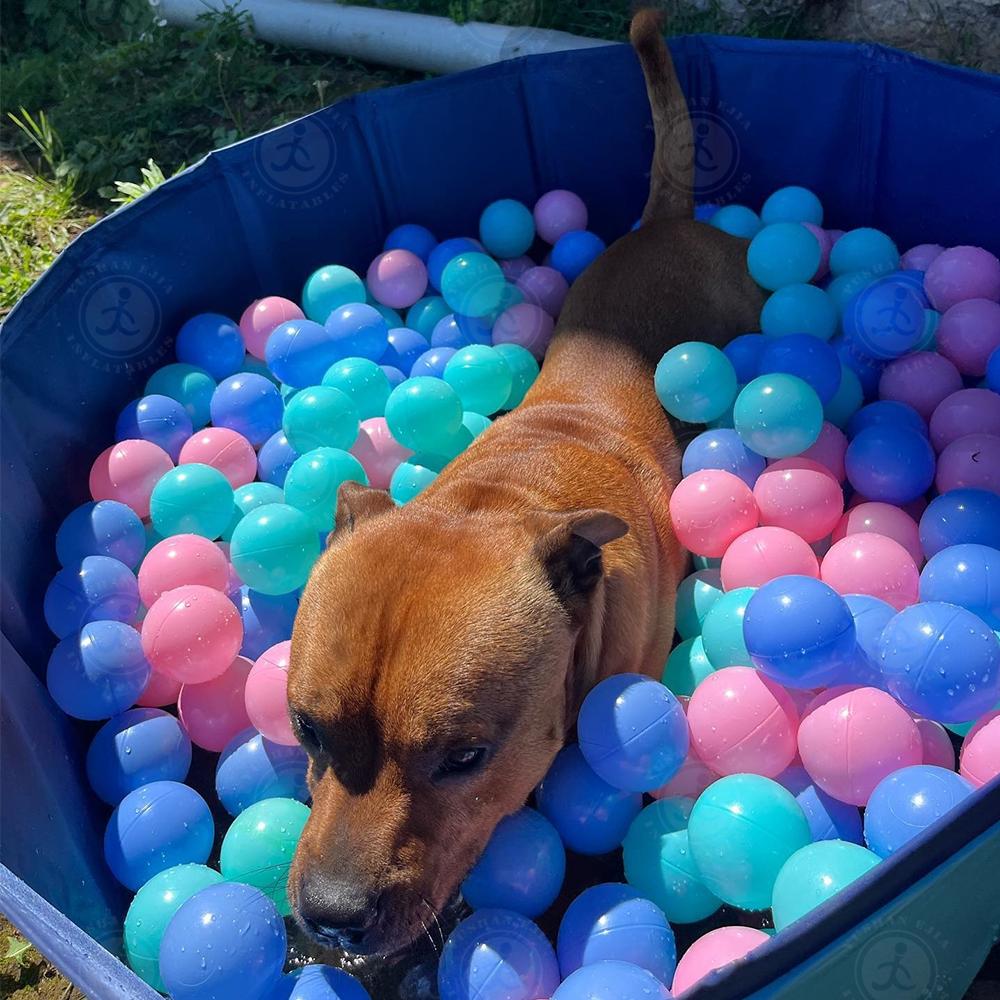 dog toy Hot Sale Foldable 2 in 1 Paddling Pet Dog Swimming Pool Foldable Dog Pet Bath Pool (as the picture,Customization)