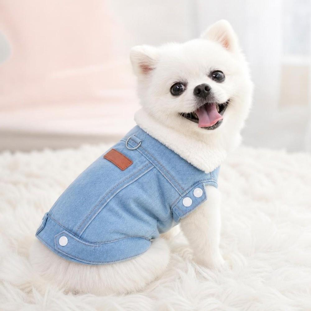 Winter Dog Hiking Jacket Plush Lining Dog Vest Coat Fashion Pet Clothes for Small Medium Dog