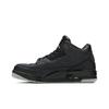 Air Jordan 3 Retro Black Flip AJ3 315767-001