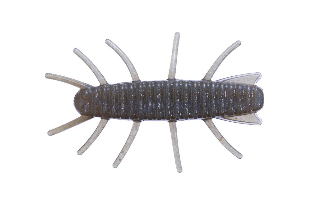 First bug. First bug