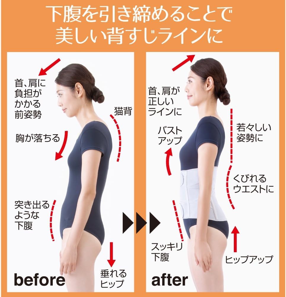 Alphax Waist Nipper Firm Lower Abdomen Sizes Made in Japan Corset, Doctor's Belt, LL-3L,