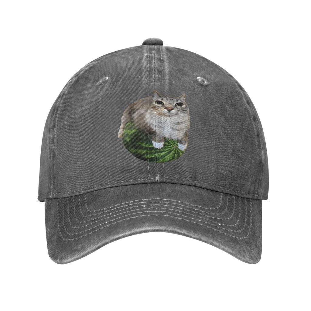 Vintage Watermelon Cat Silly Cat Meme Baseball Caps Unisex Style Distressed Washed Headwear Funny Outdoor Summer Soft Caps Hat