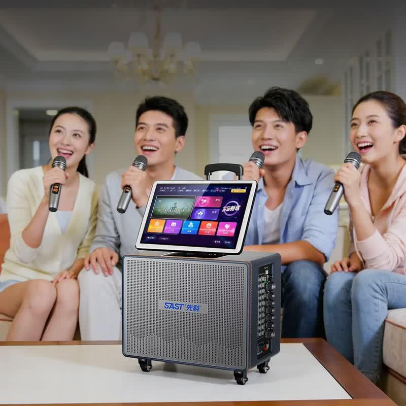 SAST SW-53 KTV Karaoke Speaker System with Display (CN Version)