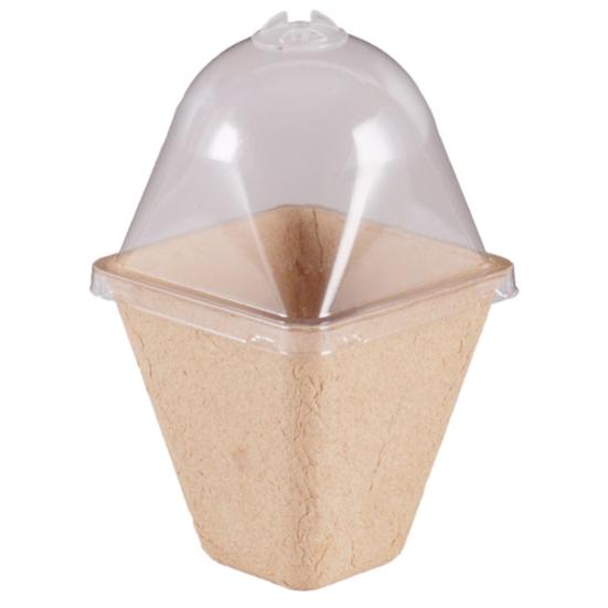 10 Stück Zellstoffpflanzenbecher, biologisch abbaubar, mit Belüftungslöchern, Einwegbecher mit Deckel, für den Kindergarten, Heimanbau, Zellstoffformanlage