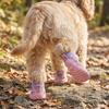 4PCS Adjustable Pet Mesh Boots Anti-Slip Pet Paw Protector Wear-resistant Dog Sneakers  Daily Wear