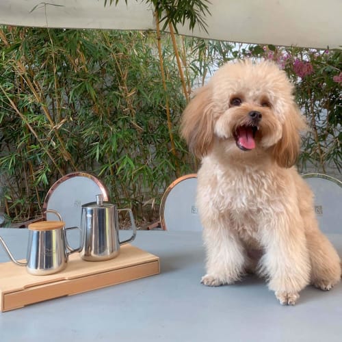 MERMOO YILAN Coffee Drip Pot for 2-3 People, 600ml, with Lid, Popular Stainless Steel Narrow Spout, Coffee Kettle (Silver)