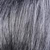 Old Lady Grandma Granny Grey Wig Bun Hair Grand Mother Fancy Dress Costume