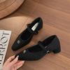 Fashion temperament French retro thick heel light mouth single shoes women's 2025 new spring and autumn skirt velvet Mary Jane shoes