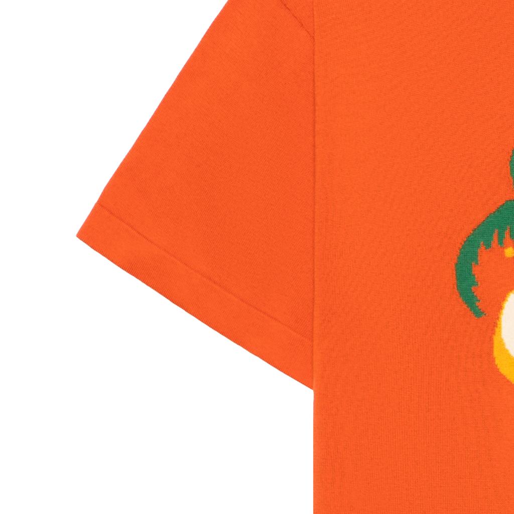 Louis Vuitton SS24 T Shirt Men's Orange 1AFQQZ