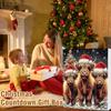 Highland Cow Adventskalender 2025 Weihnachts-Countdown-Kalender Niedliche Kuh Weihnachtsornamente Weihnachtsbaumschmuck Weihnachtsgeschenke