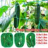 4 Sizes 27 Strands of  Horticultural Plant Climbing Vine Net Ipomoea Nil Climbing Flowers Climbing Rattan Ropes for Plants