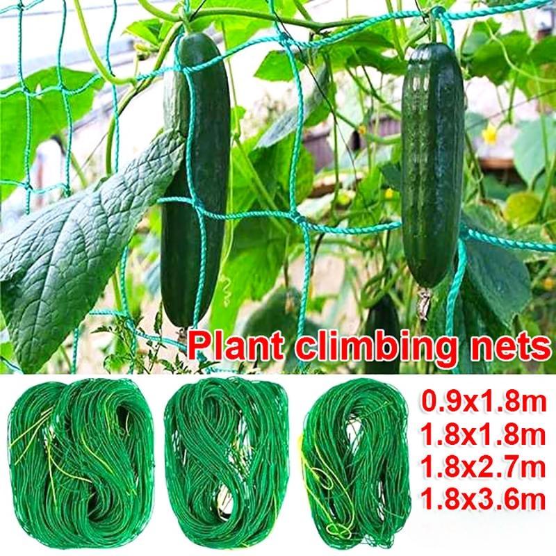 4 Sizes 27 Strands of  Horticultural Plant Climbing Vine Net Ipomoea Nil Climbing Flowers Climbing Rattan Ropes for Plants