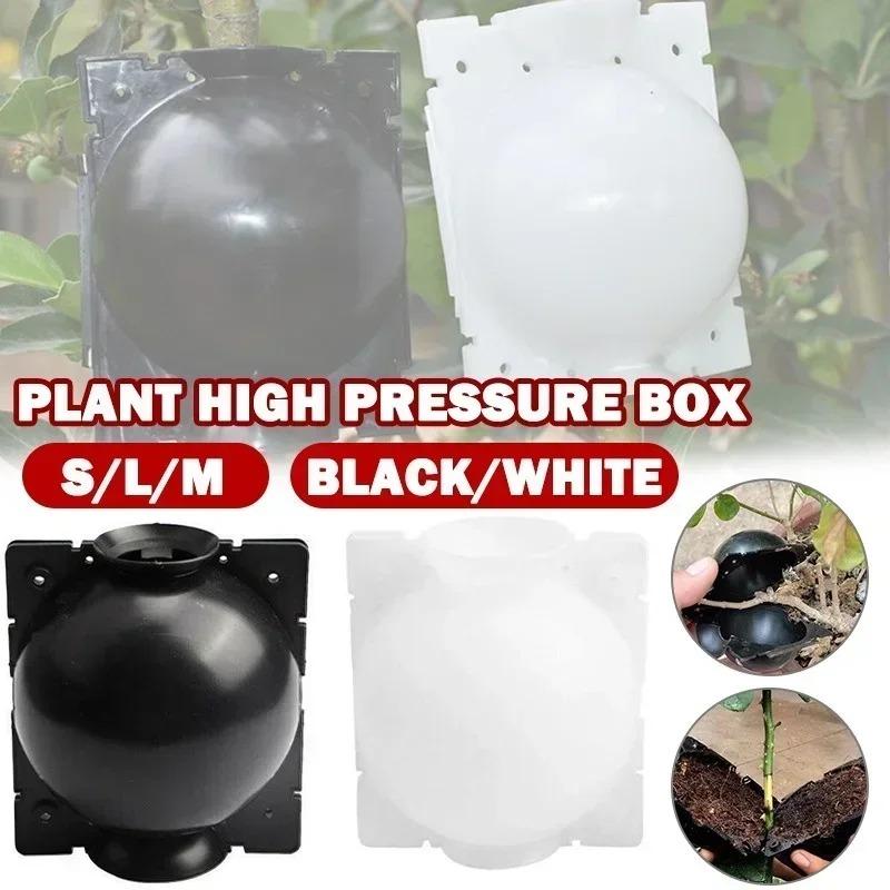 10Pcs Horticultural Grafting Propagation Box, Transparent Pressure Strip Rooting Ball, Fruit Tree Flower Cutting Seedling Plant Propagation Tool