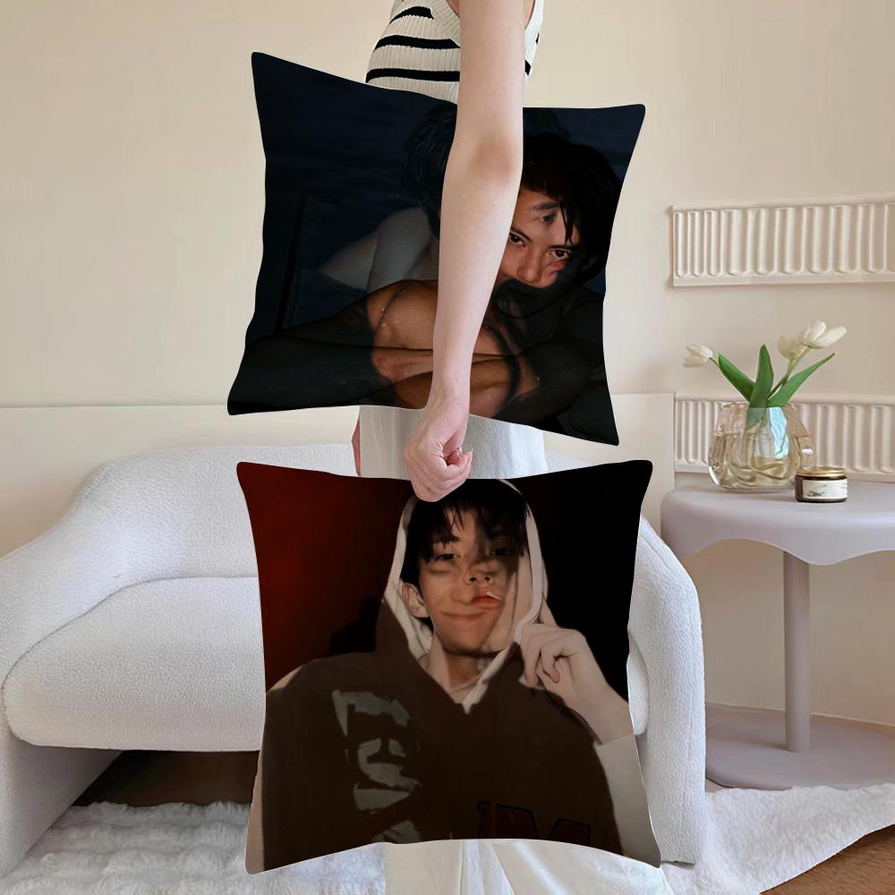 Dylan Wang Chinese Actor Cushion Cover Anti-Dustmite Pillowcase Invisible Zipper Silky Short Plush Sofa Cushion Cover