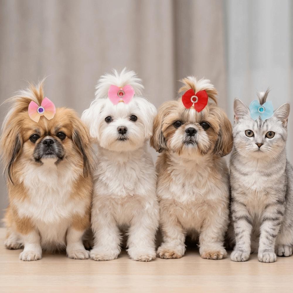 20pcs Organza Ribbon Dog Bow Hair Ties Rhinestone Inlay Pet Bow Rubber Bands Dog Beauty Styling