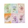 Momo Plants Sticker Pack - Unfinished Sketch Series for DIY Journal Decoration (6 Types)