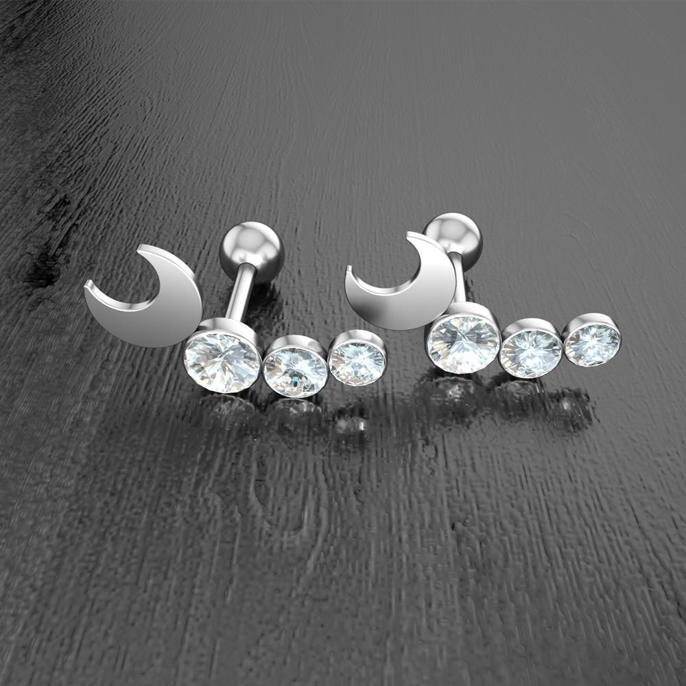 Set 10 Stainless Steel Bar Cartilage Piercing Studs Star Heart Flower Moon Rook Earlobe Screw Statement Earrings Tragus Conch