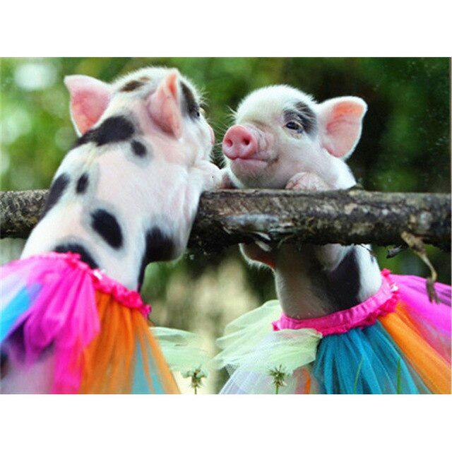 Porc DIY 5D pictura cu diamante cu punct de cruce animal rotund complet rășină diamant broderie kit imagine de strass mozaic walll art