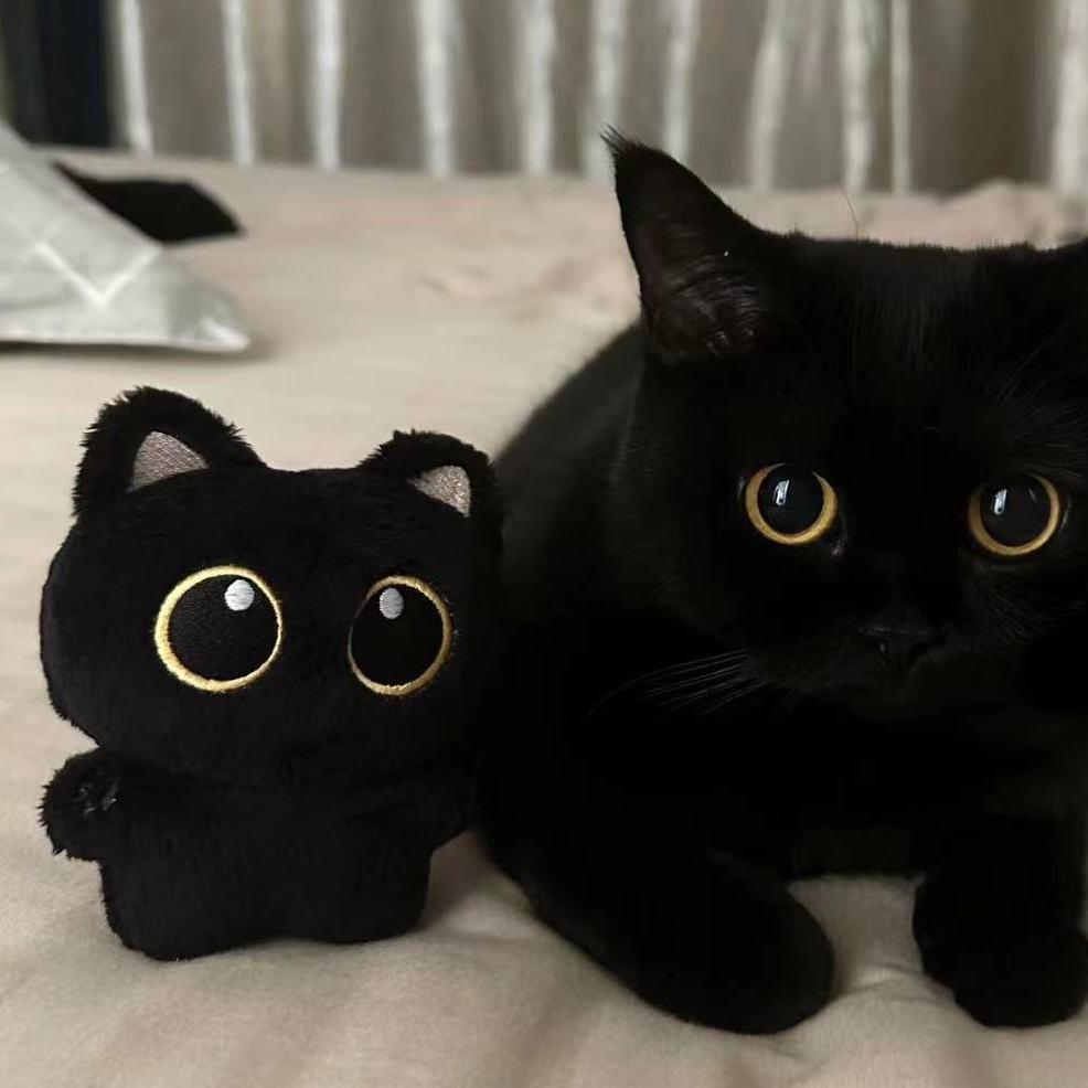 Cute black cat plush toy, plush toy pendant, super cute little cat doll, gift for girls, Internet celebrity