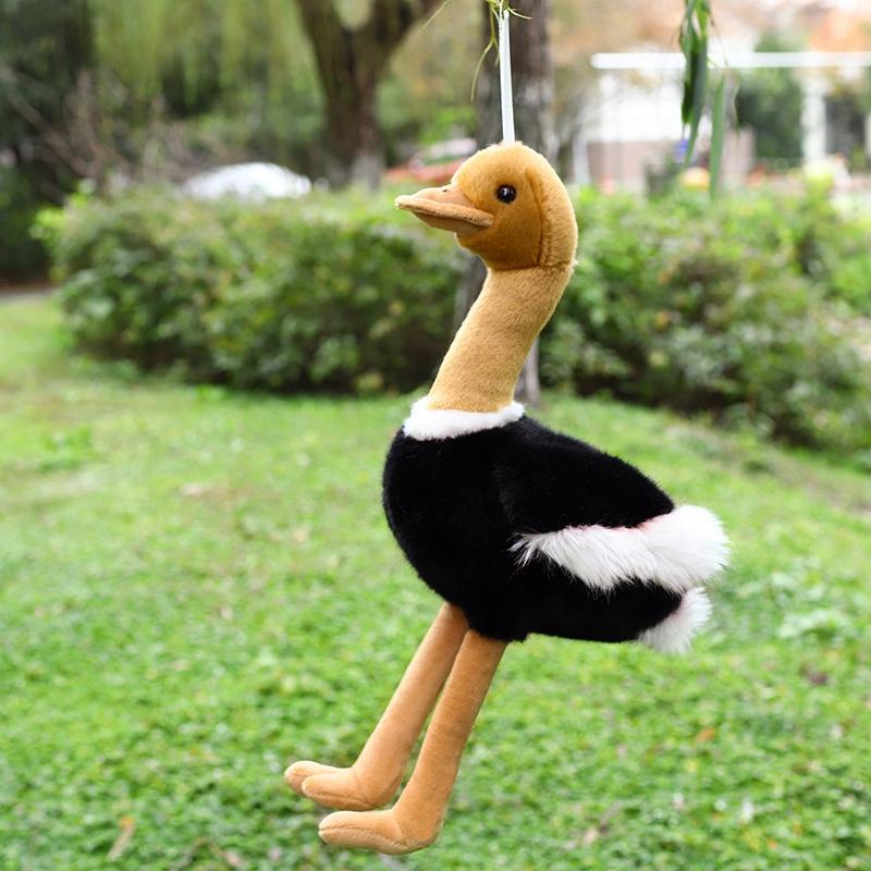 Adelaar Poppetje Leuke Vogels Papegaaien Toekan Uil Knuffeldier Struisvogel Pluche Speelgoed Maat Levensgetrouw Vogel Speelgoed Verjaardagscadeau