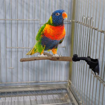 Parrot Perch Stand with Suction Cup Relieve Boredom Natural Wood Birds Toy for Cockatoo Macaw Parakeet