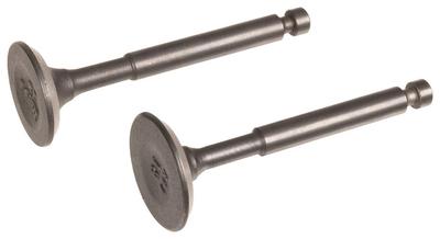 Loncin Engine Valves Set. Lc40Zb20-1.7Q Lc148F Original Part 500550093-0001