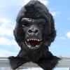 Maska King Konga Hororové Zvíře Gorila Opice Maska Novinka Halloween Cosplay Kostým Pokrývka Hlavy Zvířecí Večírek Šimpanz Maska na Celou Hlavu