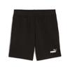 Ess 2 Color Nº1 Logo Shorts Black