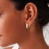 Light Luxury U Shaped Smooth Hoop Earrings Exquisite Minimalist Circle Ear Studs Elegant Versatile High End Jewelry