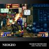 Evercade NEOGEO ARCADE 1 [Authentic Physical Game]