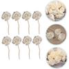 BESPORTBLE 8pcs Rattan Sola Flower Essential Oil Vines White Outfit Wood Appliques Floral Diffuser Wick Spa Perfume Beautiful Diffuser Flowers Wooden