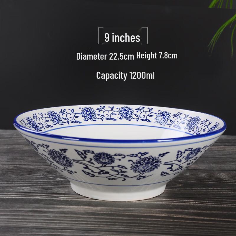 Blue and White Ceramic Noodle Bowl Set
