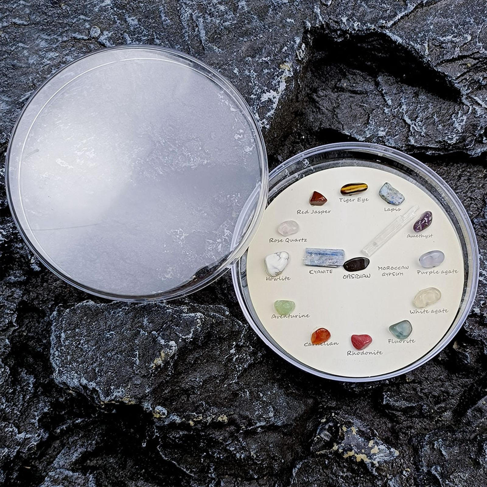 15Pcs Rock Mineral Collection Geology Science Kit Learning Educational Set for Collector