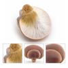 Vegetable Model Fungus Figurines Landscape Miniatures Artificial Simulation Mushroom Plant Teaching Fungus Model