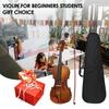 Full Size 4 4 Acoustic Violin Spruce Wood Top Maple Back & Scroll & Fingerboard with Carry Case Bow Rosin for Kids