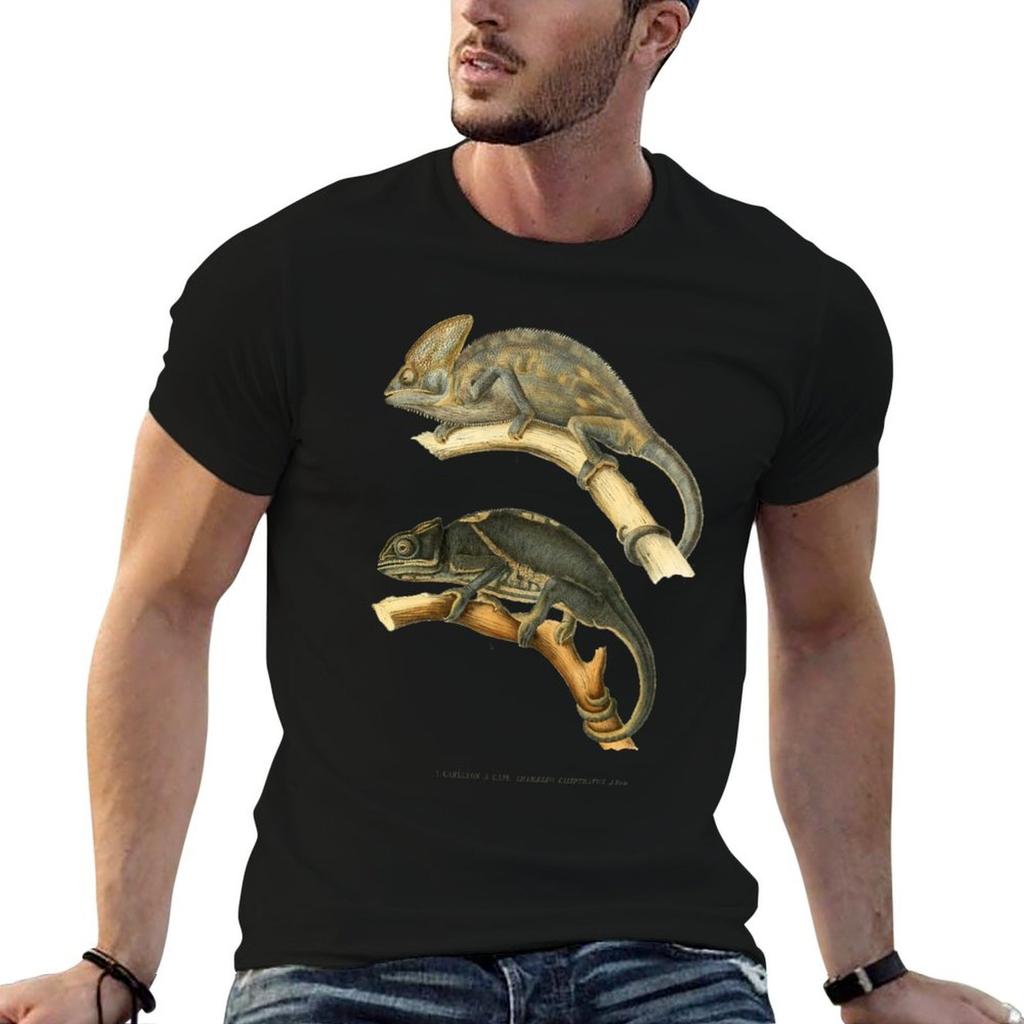 Chameleon Scientific Illustration T-Shirt Thanksgiving Casual Tee