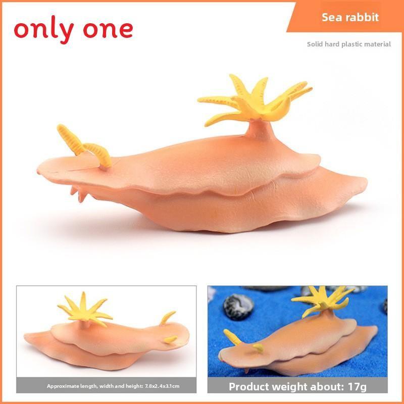 Sea Creature Sea Slug Squid Pvc Model Ornament For Aquarium Office Decoration